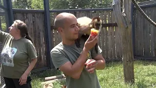 CREAM Animals in Bulgarian zoo cool off with homemade ice cream