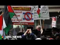 Pro-Palestinian protesters attempt to interrupt Met Gala