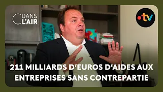 Aides aux entreprises : le rapport sénatoriale qui pointe un gisement d&#39;économies