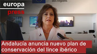 La Junta de Andalucía busca en Bruselas liderar la conservación del lince ibérico