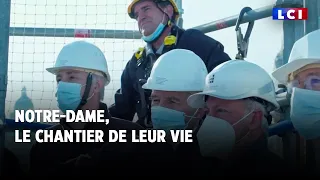 Notre-Dame : le chantier de leur vie｜LCI