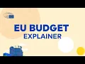 How Parliament checks the annual EU Budget?