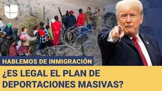 ¿Es legal que Trump deporte a millones de inmigrantes indocumentados?: Hablemos de Inmigración