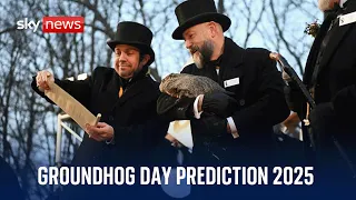 Punxsutawney Phil makes 2025 Groundhog Day prediction