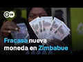 El ZiG no logra estabilizar la economía de Zimbabue