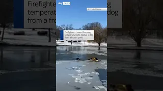 Dog rescued from frozen lake in Missouri