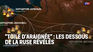 &quot;Toile d&#39;araignée&quot; : les dessous de la ruse révélés｜LCI