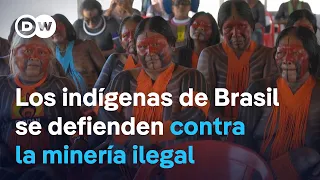 GOLD - USD La extracción ilegal de oro sigue afectando a cruciales ecosistemas de la Amazonía