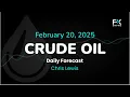 Crude Oil Price Forecast Today , Technical Analysis (February 20): WTI, Brent