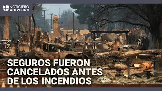 ¿Qué está haciendo California ante la cancelación de seguros en zonas de incendios?