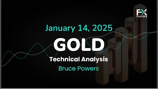 GOLD - USD XAU/USD Price Forecast Today, Technical Analysis (January 14): Gold Stalls and Trades Inside Day