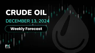 STRONG Crude Oil Weekly Price Forecast , Technical Analysis (Dec 16-20): WTI and Brent Have a Strong Week