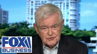 &#39;IGNORANT TO HISTORY&#39;: Newt Gingrich rips America&#39;s left-wing elites