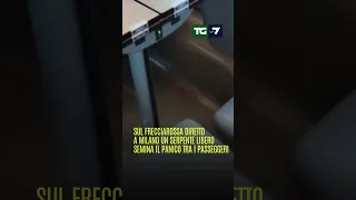 Sul #frecciarossa diretto a Milano un serpente libero semina il panico tra i passeggeri