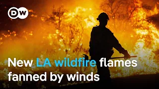 NEAR Firefighters battle new wildfire near Los Angeles | DW News