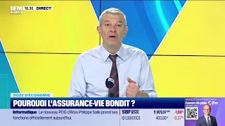 Doze d&#39;économie : Pourquoi l’assurance-vie bondit ?