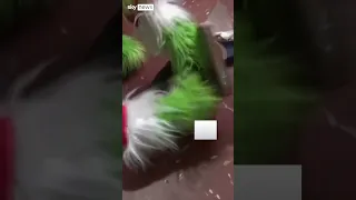 Officer dresses as Grinch for drugs raid in Peru