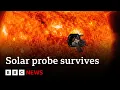 Nasa makes history with closest-ever approach to Sun | BBC News