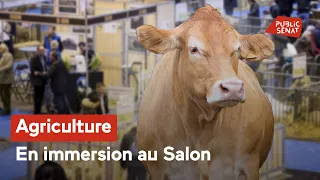 Agriculture : en immersion au Salon - Documentaire