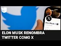 Elon Musk decide cambiar la marca de Twitter: ¿tendrá éxito el lanzamiento de los nuevos servicios?