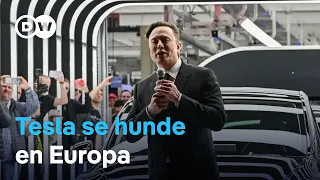 ELON AB [CBOE] La empresa de Elon Musk vendió un 50% menos en enero de 2025