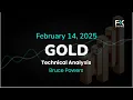 XAU/USD Price Forecast Today, Technical Analysis (February 14): Gold Faces Reversal