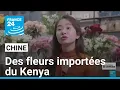 PROVINCE RESOURCES LTD - Chine-Afrique : dans la province du Hunan, des fleurs importées du Kenya • FRANCE 24