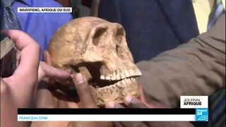 SAPIENS INTERNATIONAL Origine de l'Homme : Homo Naledi a cotoyé l'Homo Sapiens en Afrique du sud