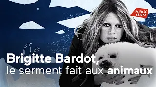 Brigitte Bardot, le serment fait aux animaux