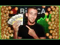 The ‘Boring’ Investment Strategy That Will Make Millionaires! BitDCA Review