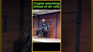 RALLY Altcoins Warming up for the rally! 😂 #shorts