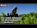 Gobierno Trump revierte orden de no realizar redadas en restaurantes, granjas y hoteles: reporte