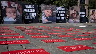 EU inaction on Israel could erode international order, NGO Avaaz warns