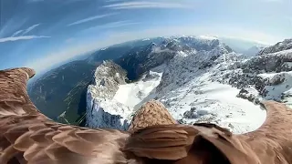 ADLER REAL ESTATE AG Einzigartige Bilder: Adler fliegt mit Kamera über die Alpen