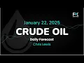 Crude Oil Price Forecast Today , Technical Analysis (January 22): WTI, Brent Stabilize a Little bit