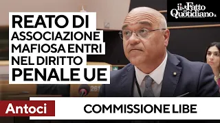 Antoci: &quot;Reato di associazione mafiosa entri nel diritto penale Ue&quot;