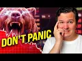 How to Survive This Crypto Bear Market