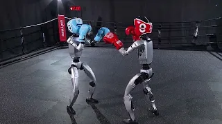 Humanoide Roboter bereiten sich auf Boxdebüt in Hangzhou vor