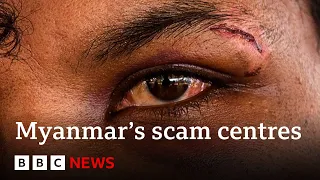 Thousands stranded after being freed from Myanmar&#39;s scam centres | BBC News