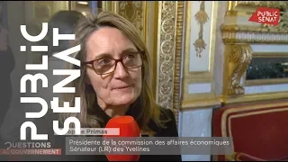 PRIM Suspension de la taxe Gafa : les sénateurs « un petit peu surpris de cette annonce » (Sophie Prim