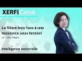 La filière bois face à une ressource sous tension [Cathy Alegria]