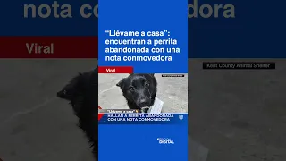 ❤️ &quot;Llévame a casa&quot;: hallan a una perrita abandonada con una nota conmovedora