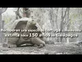 GALAPAGOS - Recuperan una especie de tortuga considerada extinta hace 150 años en Galápagos