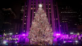 EN VIVO: El árbol de Navidad de Rockefeller Center adorna a Nueva York