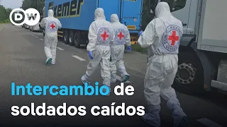 Rusia y Ucrania canjean los restos mortales de prisioneros de guerra