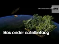 Zo helpt deze satelliet het regenwoud