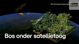 Zo helpt deze satelliet het regenwoud