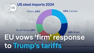 Will Donald Trump&#39;s tariff gamble pay off? | DW News