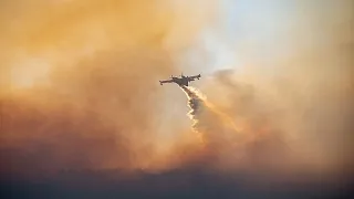 Grecia, non si ferma l&#39;incendio a Chios: bruciati decine di migliaia di ettari verdi