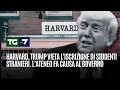 Harvard, Trump vieta l'iscrizione di studenti stranieri. L'ateneo fa causa al governo